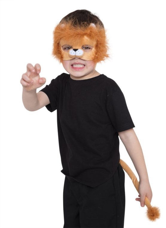 Bristol Novelty DS196 Lion Set (Mask and Tail), One Size