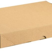 Carton with Lid 305x215x50mm Brown Pk 10