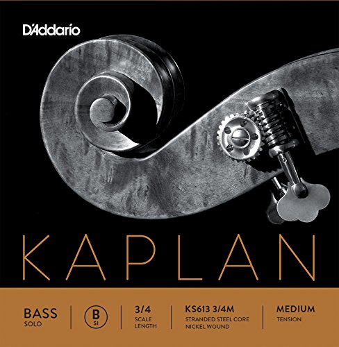 D'Addario Kaplan Solo Double Bass B String, 3/4 Scale, Medium Tension, Silver