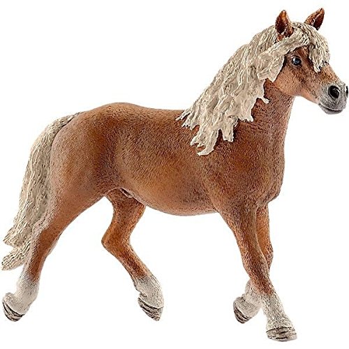 SCHLEICH 13813 Haflinger Hengst, ab 3 Jahren, FARM WORLD - Spielfigur, 14 x 4 x 10 cm, Multicoloured