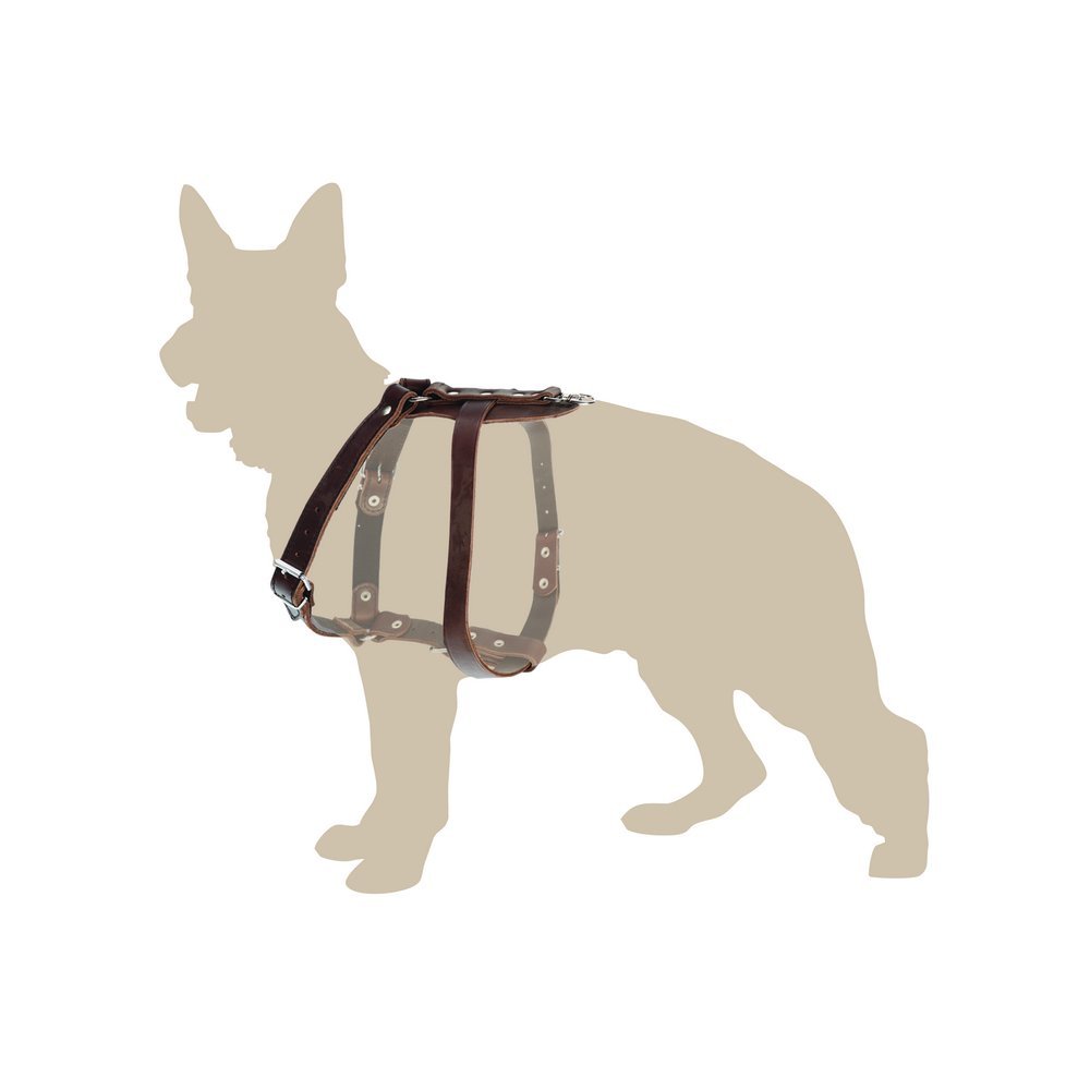 Dingo Leather Harness for Tracking Seeking Scents and Dog Fieldwork, Guard Type, Brown 10675, 2 x 100 cm - Image 2