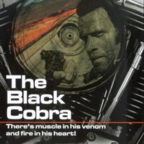 Black Cobra [DVD]