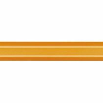 Caran Dache Fountain Pen, Fluo Line, Orange, with Medium Nib