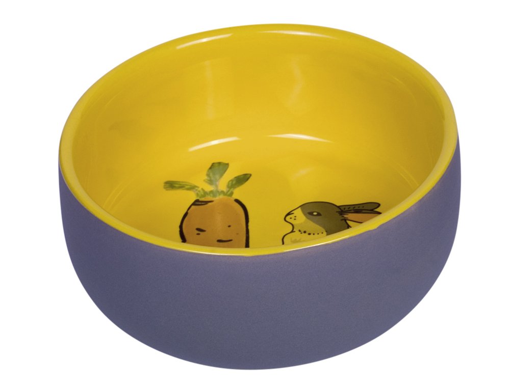 Nobby Carrot Plus Rodent Ceramic Bowl Grey/Yellow Diameter 11 cm x 4.5 cm, grey / yellow, 1 Stück (1er Pack)