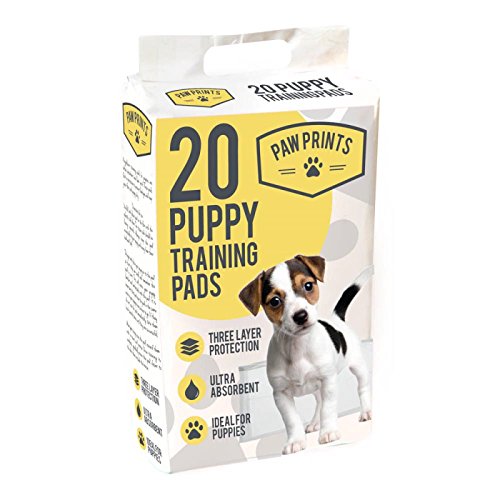 Hamptons Direct 20 Pack Training Pads for Puppies, Multi-coloured