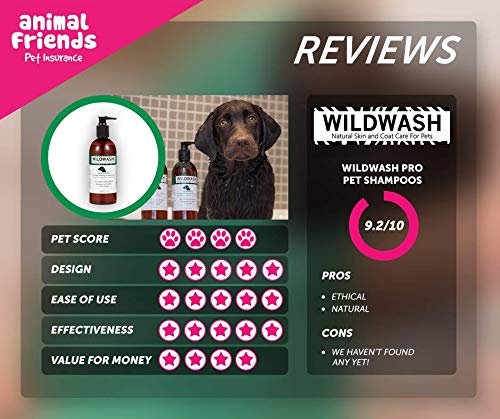 WildWash Dark Coat Shampoo for Dogs 300ml, for Dark or Greasy Hair Prevents Excess Shedding, Natural - Image 3