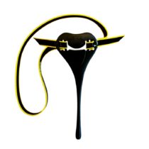 FINIS Swim Posture Trainer