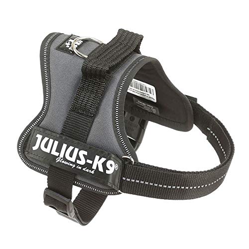 JULIUS-K9Powerharness, Size: S/Mini, Anthracite - Image 4
