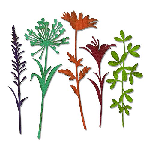 Sizzix Thinlits Die Set 664164, Wildflower Stems #2 by Tim Holtz, 5 Pack, One Size, Paper, Multi-Colour Colour