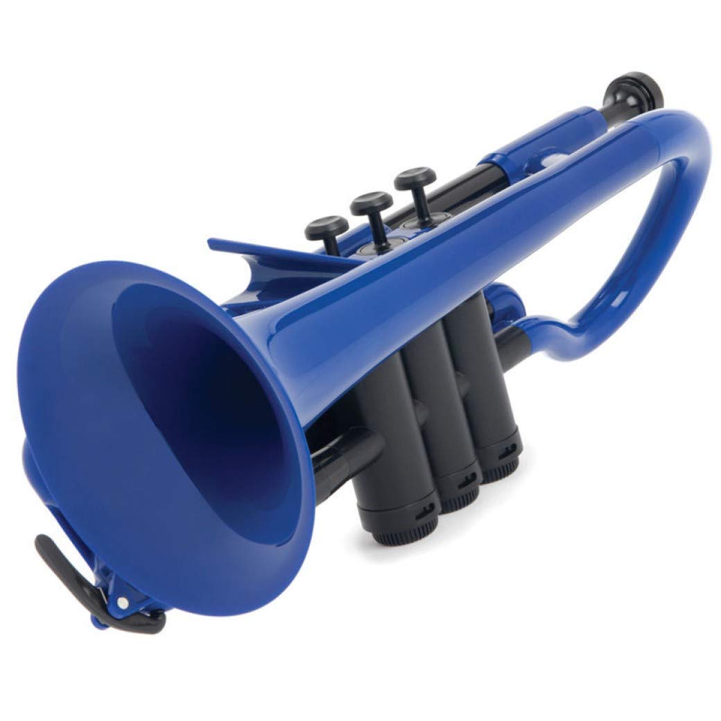 pCornet Cornet blue with bag - Image 2