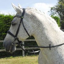 Rhinegold Anatomic Cavesson Bridle - Full - Black