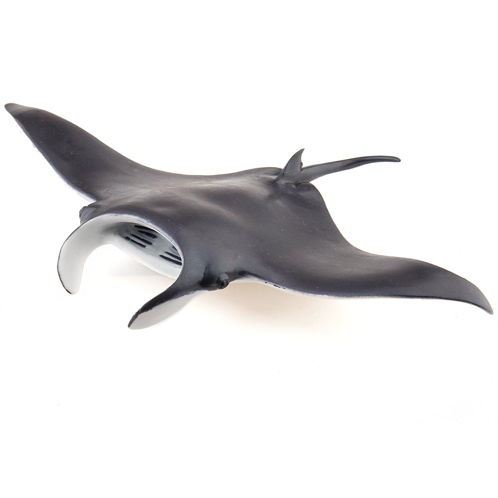 Papo Figurine, 56006 Manta Ray Marine Life, Multicolour, 24L x 8W x 31H millimetres, Papo 56006 Manta Ray Marine Life - Image 3