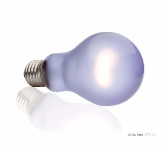 Exo Terra A21 PT2112 Daytime Heat Lamp, 100 Watt - Image 2