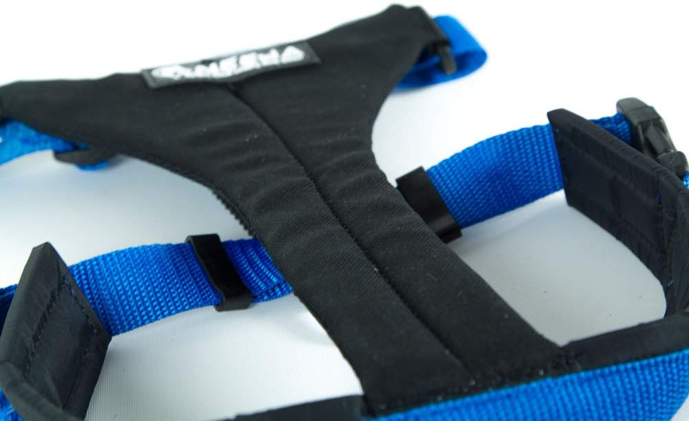 Neewa Bib Running, M, Blue, M (1 Unità ) - Image 3