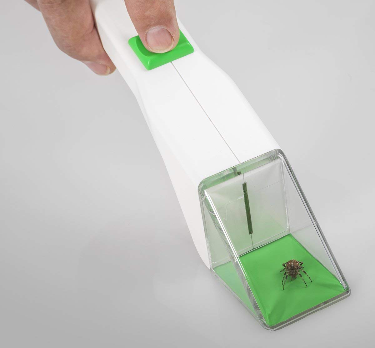 Key Insect Catcher Snapy insect catcher (yellow / red / green / blue) – BigaMart