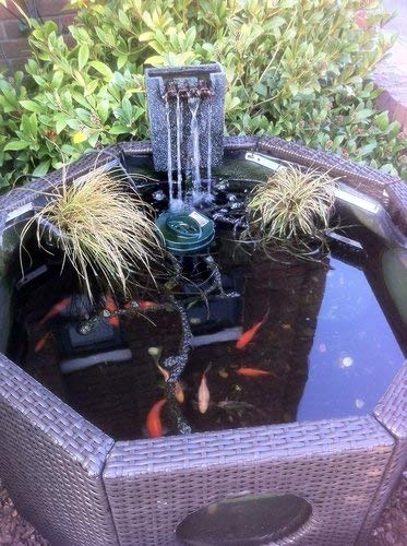 Blagdon Affinity Ice Vent 50w Pond Heater, Allows Oxygen In, Toxic Gases Out, Allows Fish to Breathe, for Ponds up to 5000 Litre,Black - Image 2