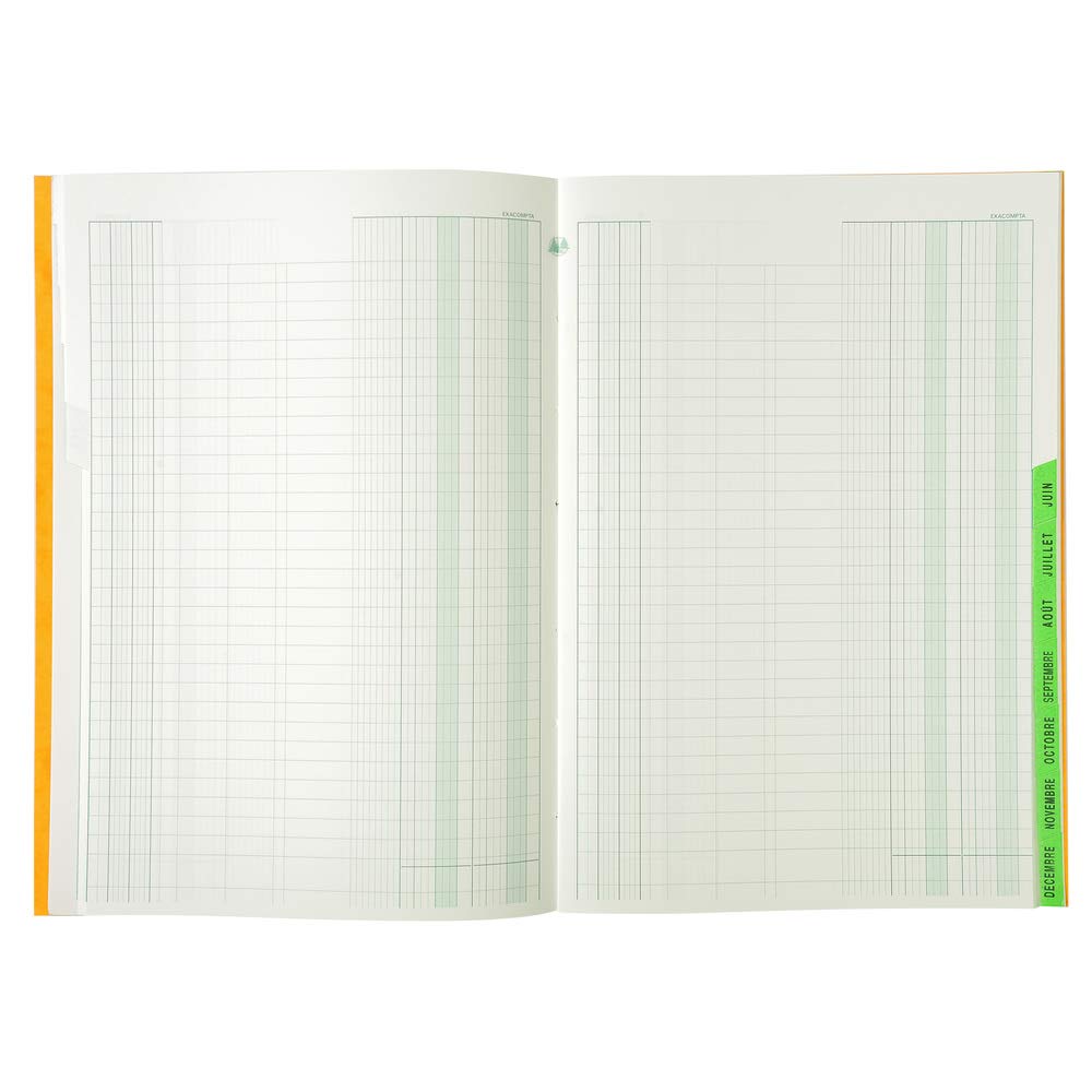 Exacompta, Ref 460E, Timetable Planner (72 Pages), A4 (297 x 210mm) in Size, 12 Monthly Sections, 110gsm Paper - Image 3