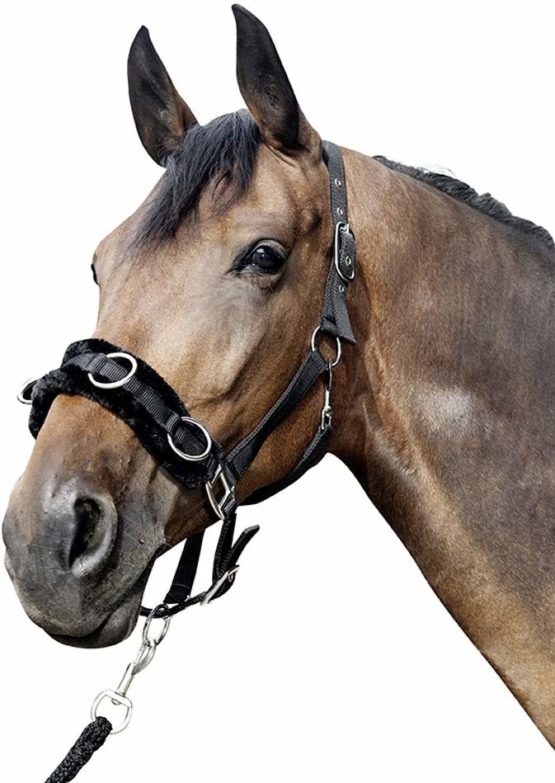 Hkm Hkm 4057052241727 Nylon Cavity Bridle With Plush Padding9100 Blackshetty