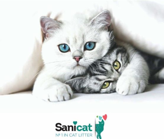 Sanicat Diamond Silica Gel Cat Litter 3.8 Litre - Image 4