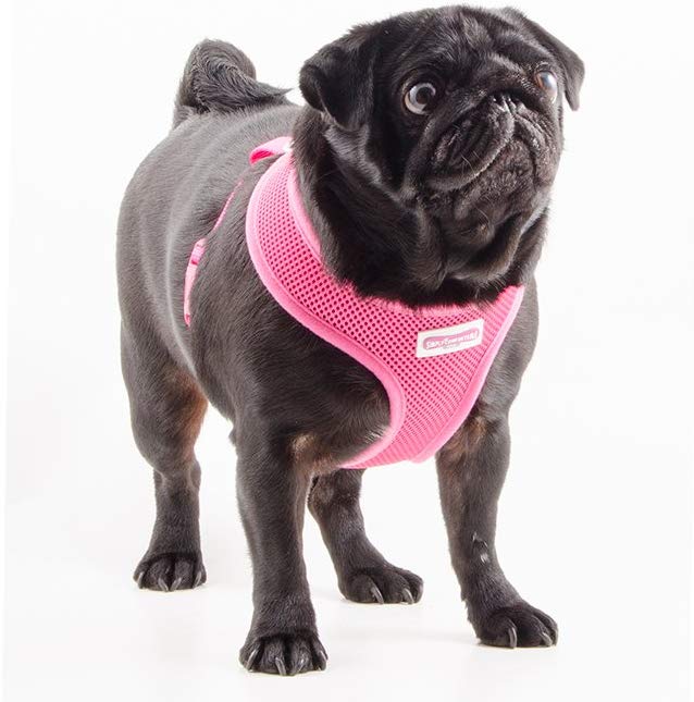 Other Viva Nylon Comfort Mesh Harness Pink Medium 44-57cm, clear - Image 2