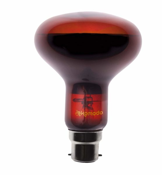 Komodo Night Spot Bulb R80 BC, 100 Watt