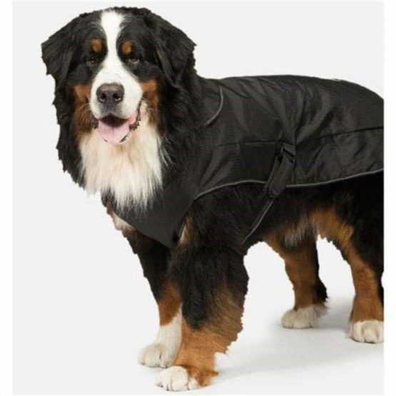 Danish Design Black Harness 2 in 1 Utmost Dog Coat 55 cm (22 Inch) - Image 3