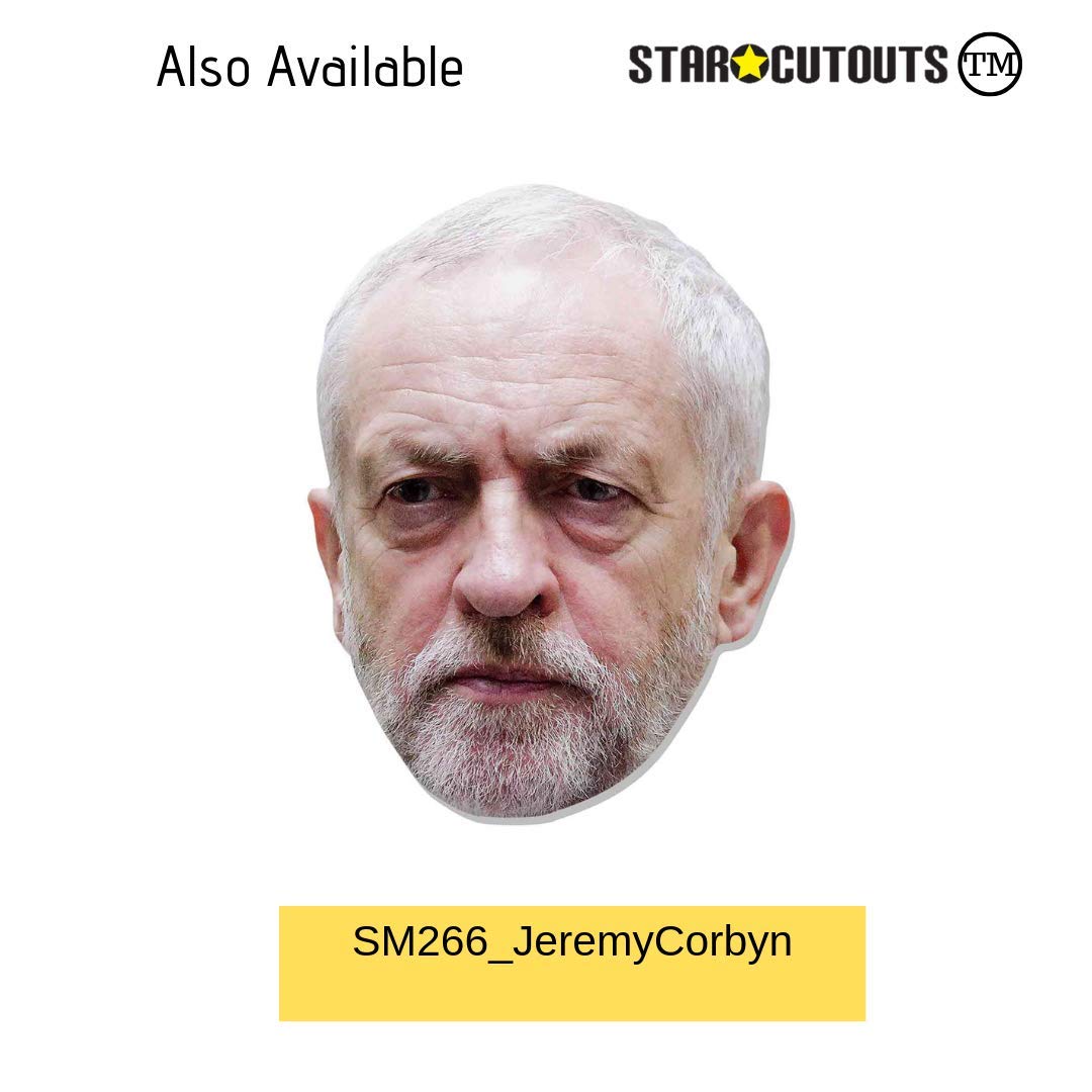 Star Cutouts SM346 Boris Johnson Cardboard Face Mask - Political Costume Fancy Dress, Regular - Image 3