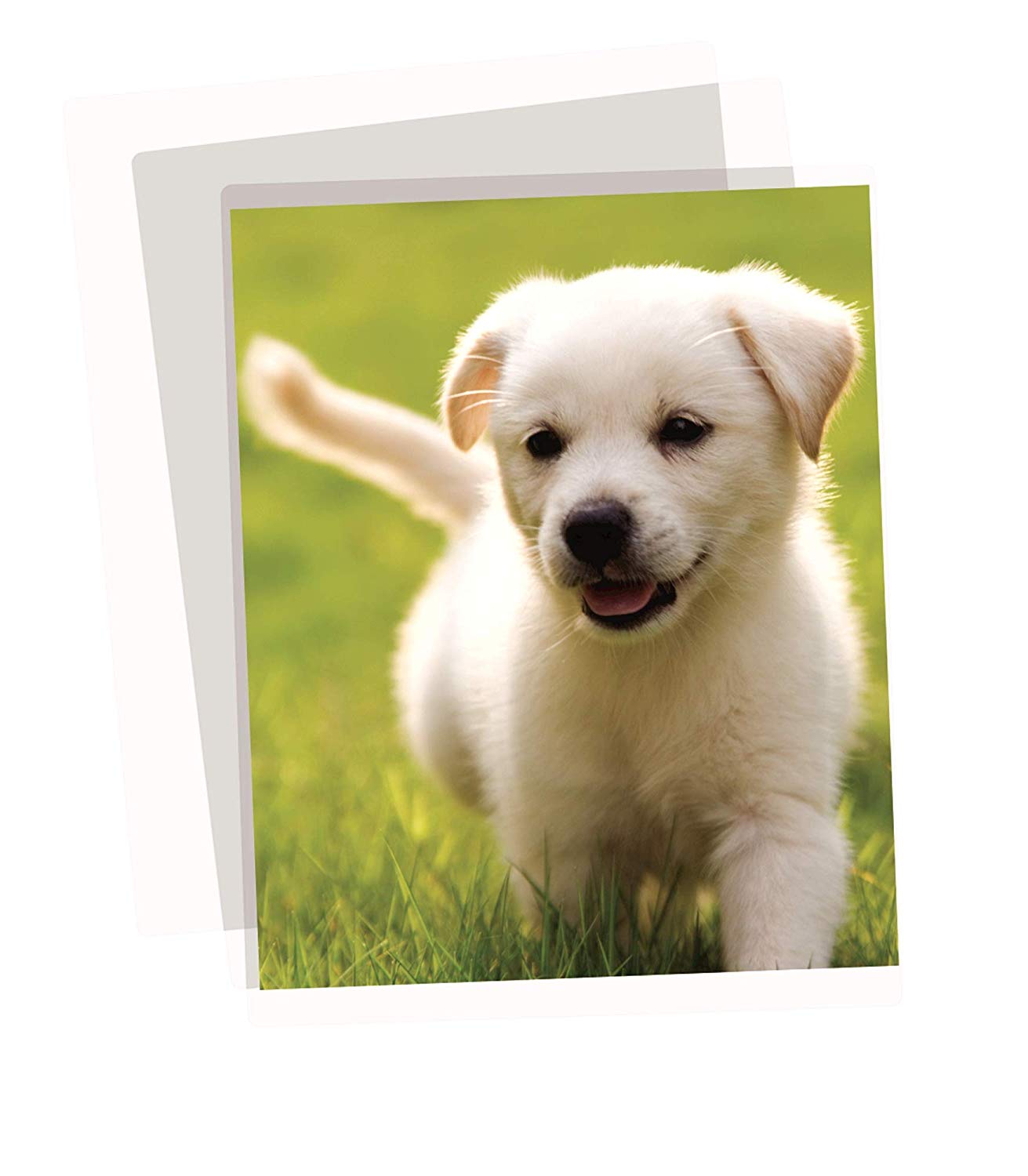 Fellowes Apex A3 Laminating Pouches, Glossy Finish, 100 Sheets - Medium Duty - Ideal for Notices Photos, Creatives and Everyday Use