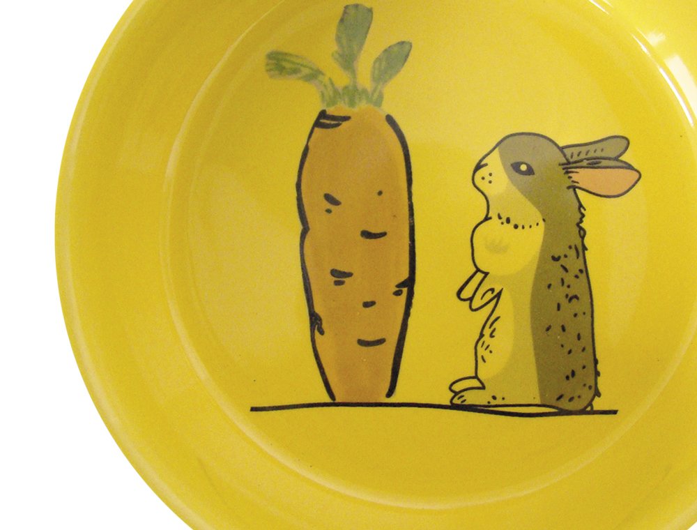 Nobby Carrot Plus Rodent Ceramic Bowl Grey/Yellow Diameter 11 cm x 4.5 cm, grey / yellow, 1 Stück (1er Pack) - Image 2