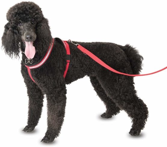 COA Comfy Harness, Large