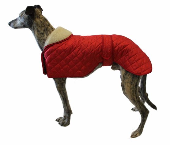 Cosipet Greyhound Anorak Nylon Coat, 51 cm, Red