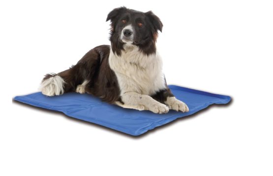 CROCI Fresh Mat, 90 x 50 cm - Image 2