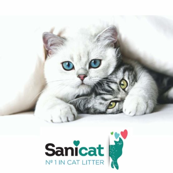 Sanicat Clumping unscented 10L - Image 3