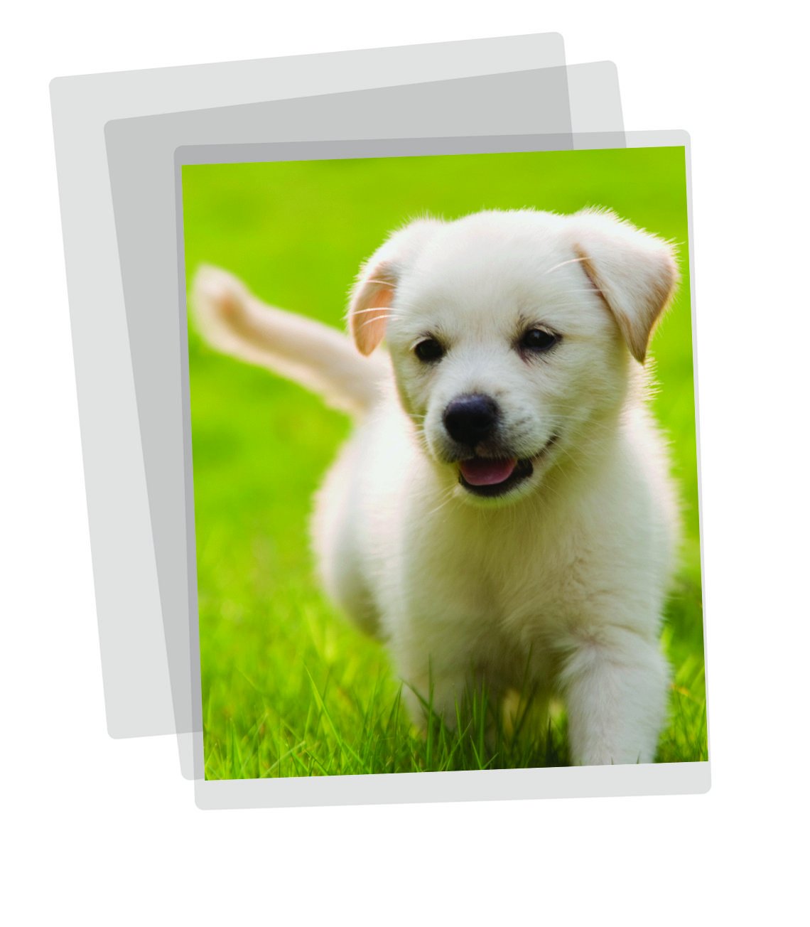Fellowes Apex A3 Laminating Pouches, Glossy Finish, 100 Sheets - Medium Duty - Ideal for Notices Photos, Creatives and Everyday Use - Image 3