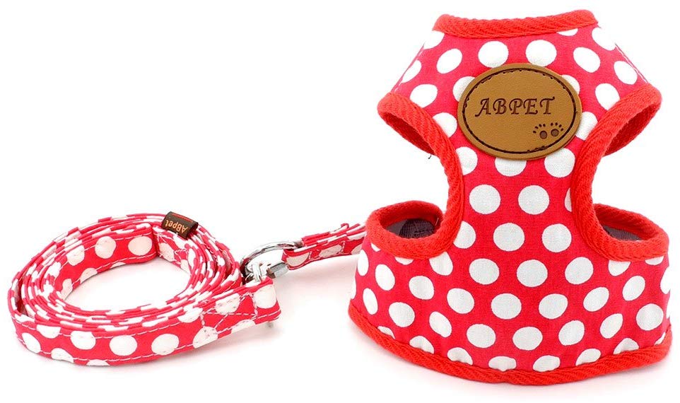 SMALLLEE_LUCKY_STORE CWYP00068-Red-S New Soft Mesh Nylon Vest Pet Cat Small Medium Dog Harness Dog Leash Set Leads,Red, S
