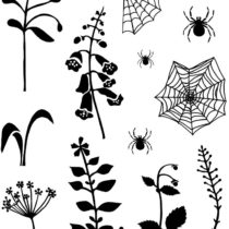 Card-io CDCCSTBAC01 Backyard Blooms Clear Stamps, Synthetic Material, 14.7x10.4x0.3 cm
