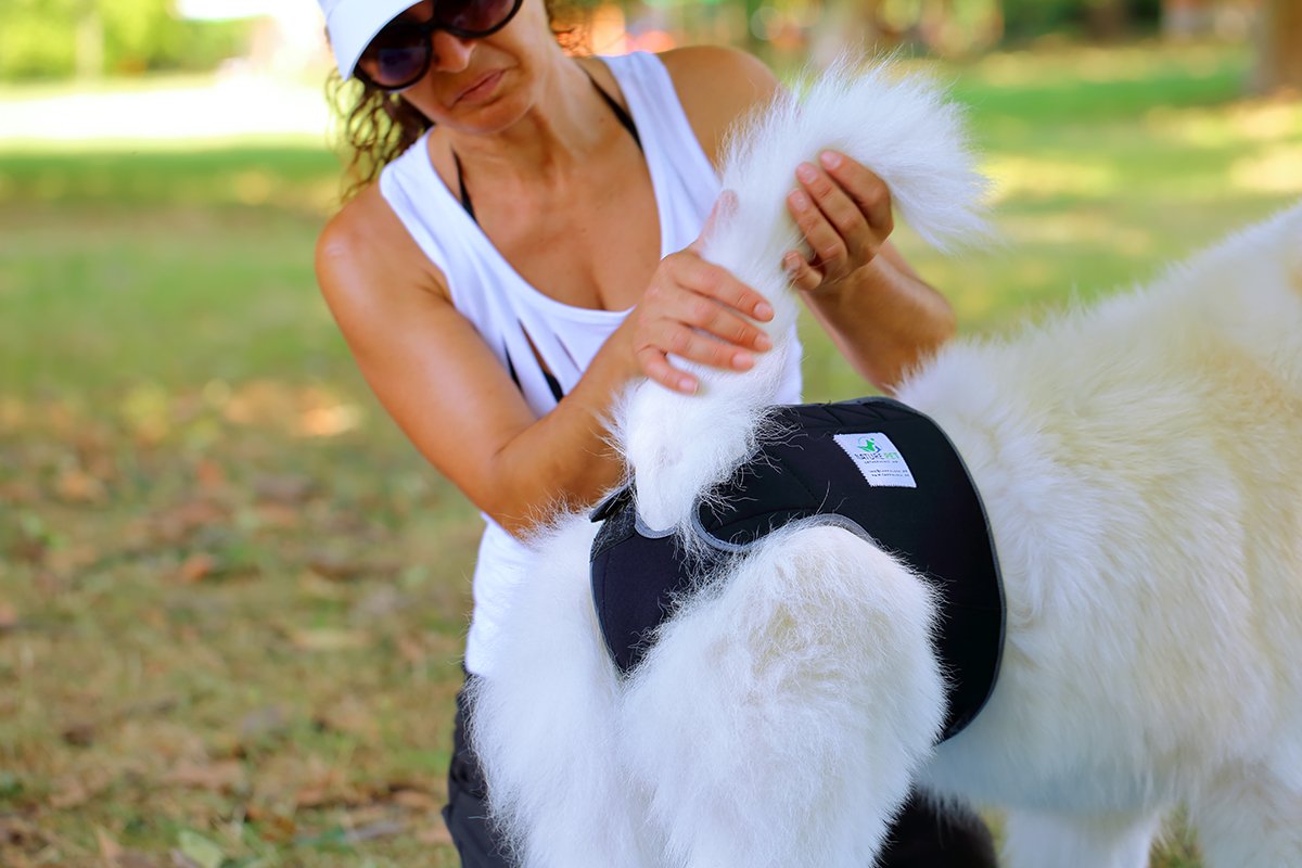 Hygiene Sanitary Pants for Female Dogs/Incontinence Pants for Dogs/Dog