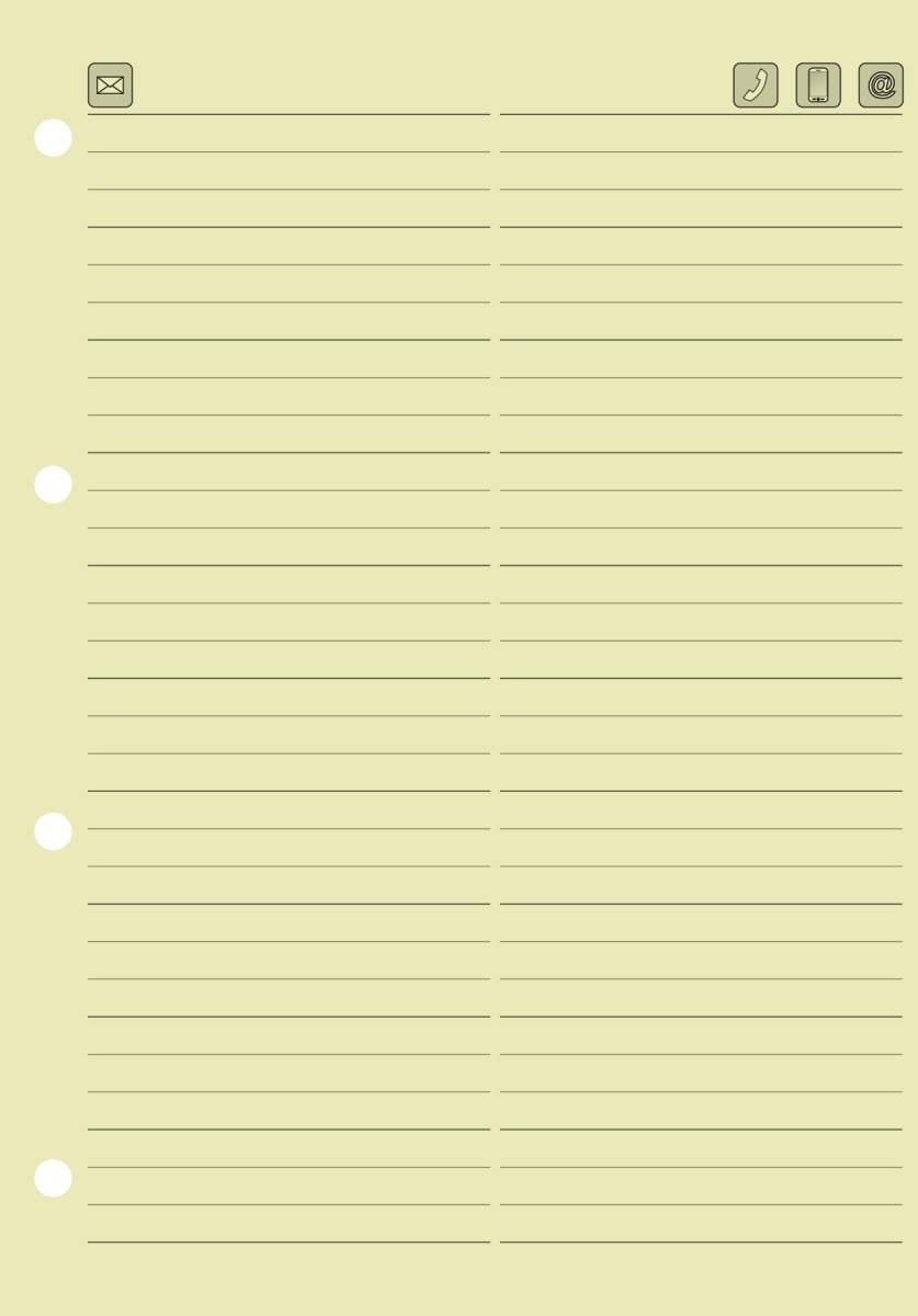 Baier Schneider &Insert for Phone 100 sheets, 149 x 212 MM chamois, Pack of 1 (10 pieces )