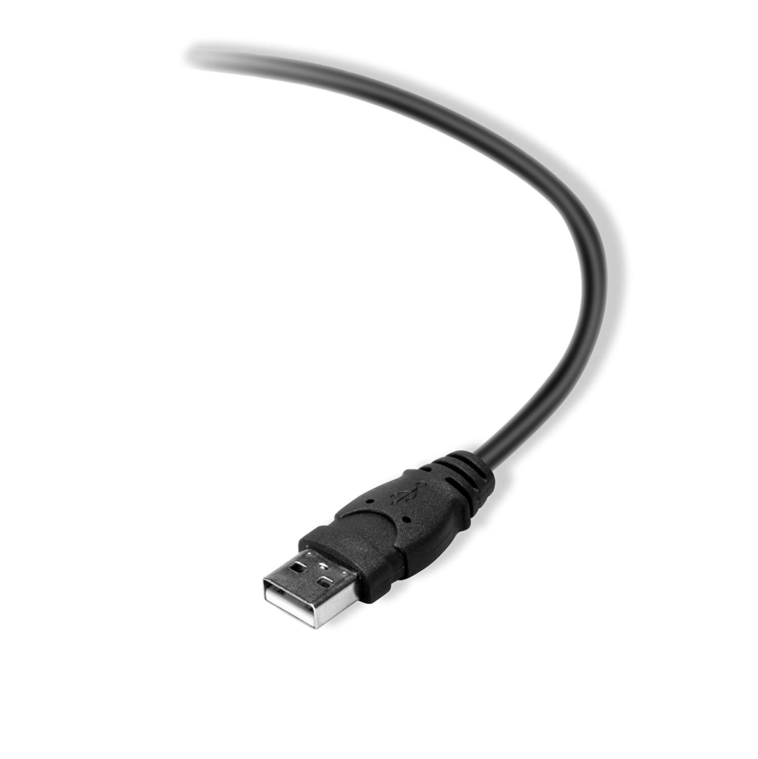 Belkin 3 m 2.0 USB Type B (M) to USB (M) Printer Cable, Black, 3 metres - Image 3