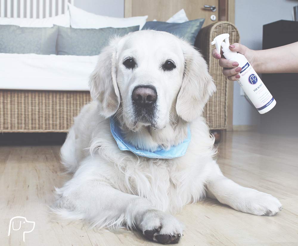 Canosept Dog Detangler Spray 250ml, Detangling spray for dogs, Dog conditioner spray, Mite treatment for dogs - Image 2