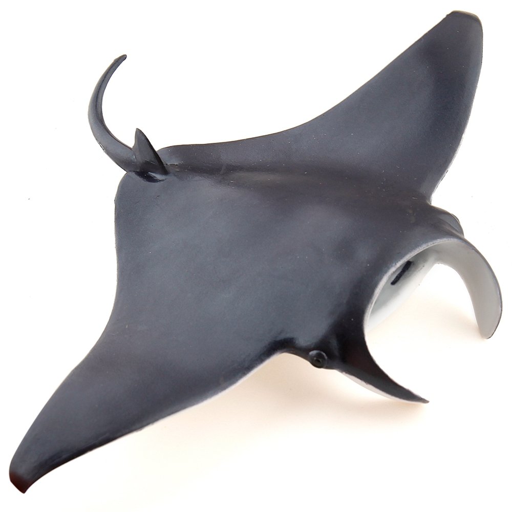 Papo Figurine, 56006 Manta Ray Marine Life, Multicolour, 24L x 8W x 31H millimetres, Papo 56006 Manta Ray Marine Life