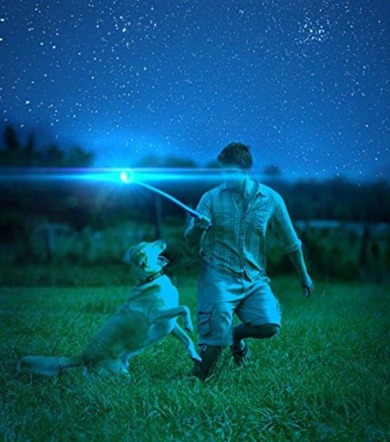 Chuckit! Max Glow Dog Ball High Visibility Glow In The Dark Bouncy Rubber Night Time Fetch Toy - Large(7.3cm) - Image 2