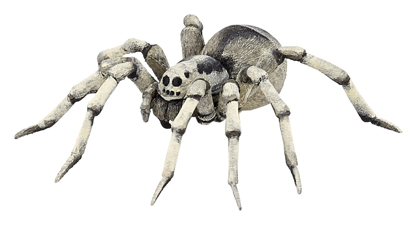 Papo, Realistic Tarantula Figure Toy for Kids, Ages 3+, Wild Life Collection, Educational Play Insects And Spiders