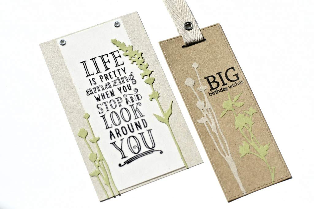 Sizzi Sizzix Thinlits Dies by Tim Holtz-Wildflowers, Other, Multi-Colour, 0.38x13.97x19.05 cm, 1-7/8x3 inches to 2-1/2x4-7/8 inches - Image 4