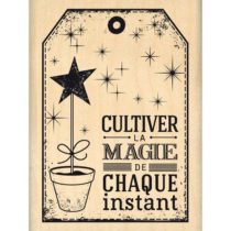 Florilèges Design FE214051 Scrapbooking Stamp with French Text Beige 8 x 6 x 2.5 cm