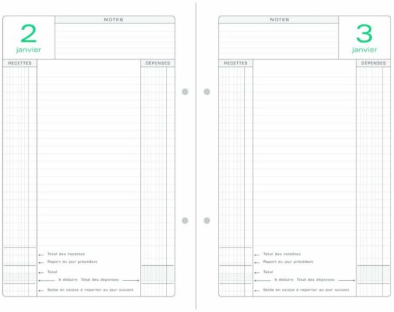 Exacompta 38978 Refill Pages for Perpetual Diary Perforated 15,5 x 23,5 cm