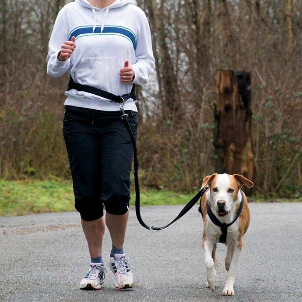 TRIXIE jogging leash for dogs with waist belt M-L, 47.2-59.1 inches, 0.98 inches in graphite/black - Image 2