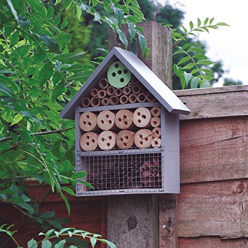 Natures Market Kingfisher Insect Hotel, Transparent, 9 x 25.5 x 32.5 cm, 9.00 x 25.50 x 32.50 cm