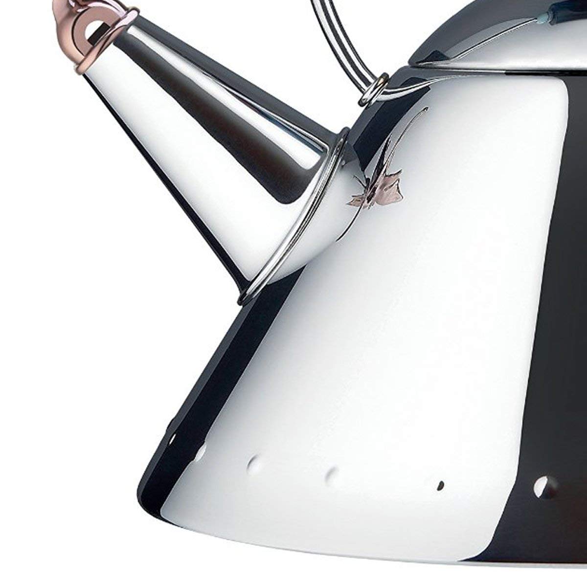 Alessi 9093REX B Tea Rex Design Kettle with Handle and DragonShaped Whistle, Stainless Steel