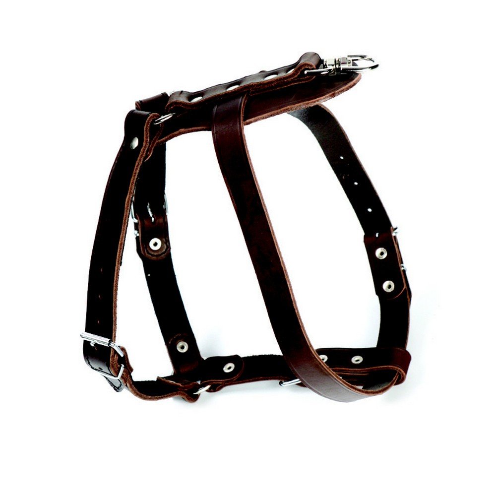 Dingo Leather Harness for Tracking Seeking Scents and Dog Fieldwork, Guard Type, Brown 10675, 2 x 100 cm